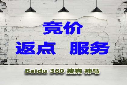 百度竞价赚钱技巧：实战案例分析