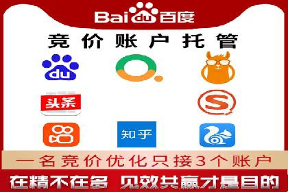 某大型平台开户返点效果评估报告